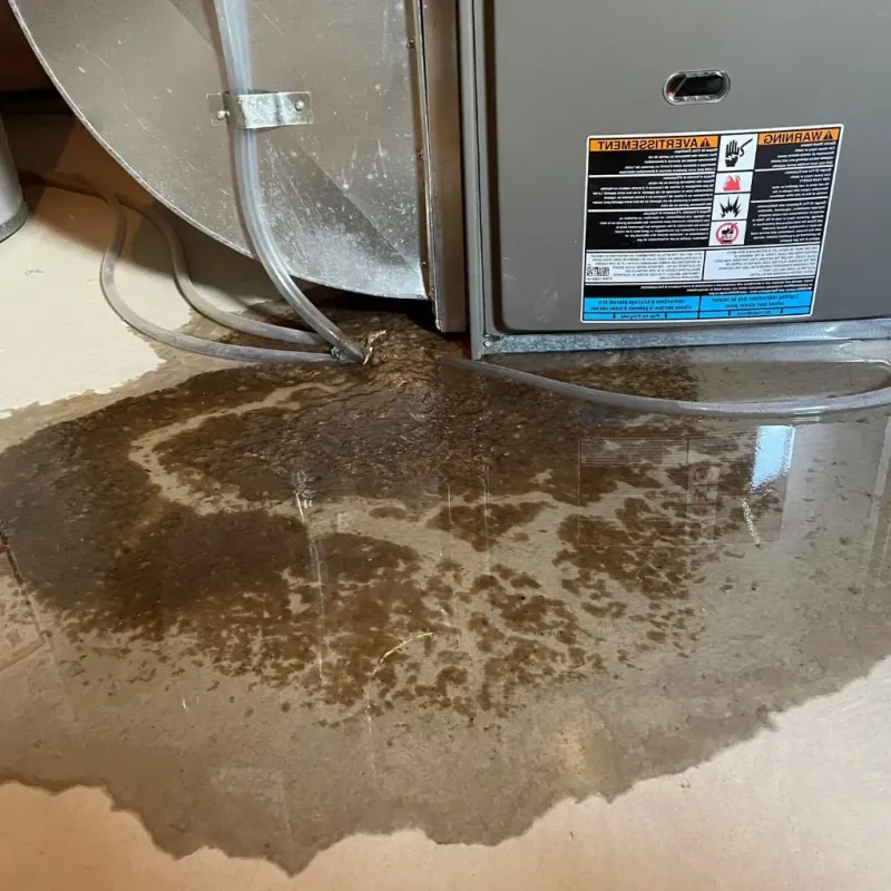 Pipe Burst and Leak Restoration in Lewistown, PA