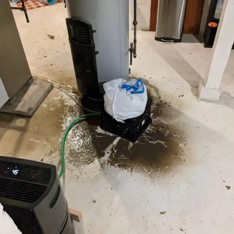 Sewage Backup Cleanup Service in Lewistown, PA